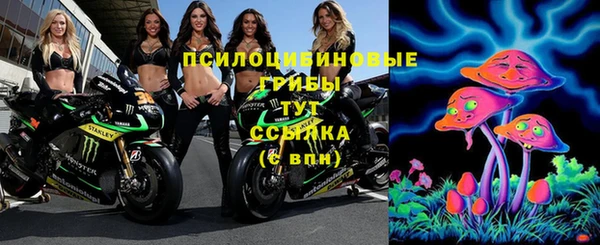 МДПВ Арсеньев