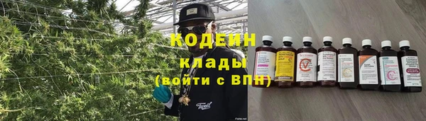 ПСИЛОЦИБИНОВЫЕ ГРИБЫ Наволоки